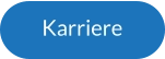 Karriere